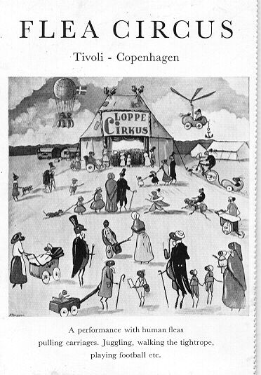 Postcard of the Tivoli Flea Circus contributed by Dan Goodsell